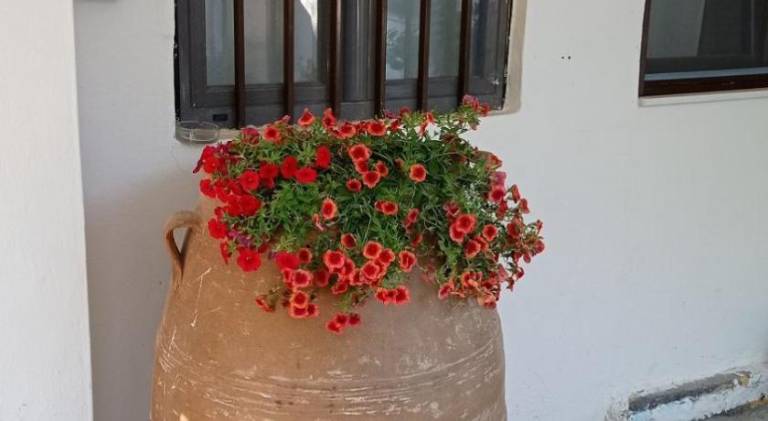 foto20