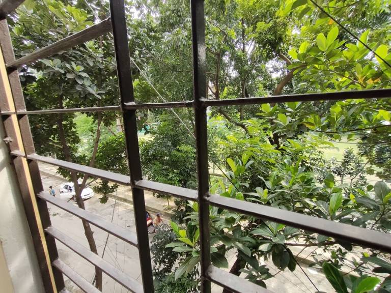Apartment  Mohammadpur