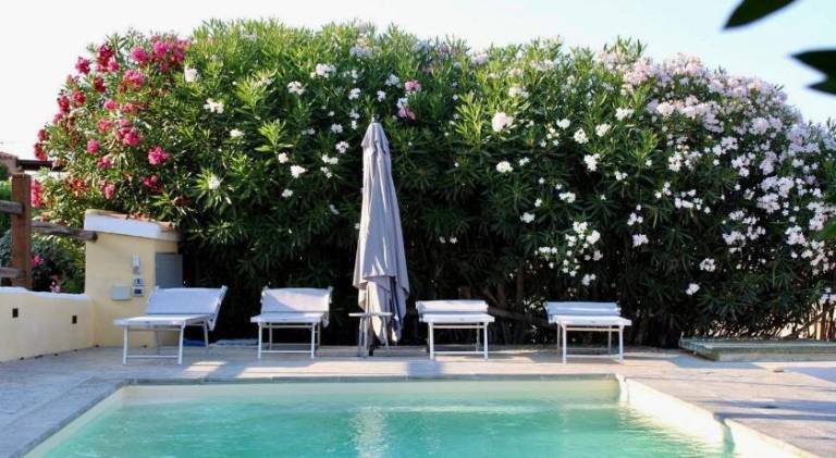 Villa with pool | Pets are welcome in Stintino