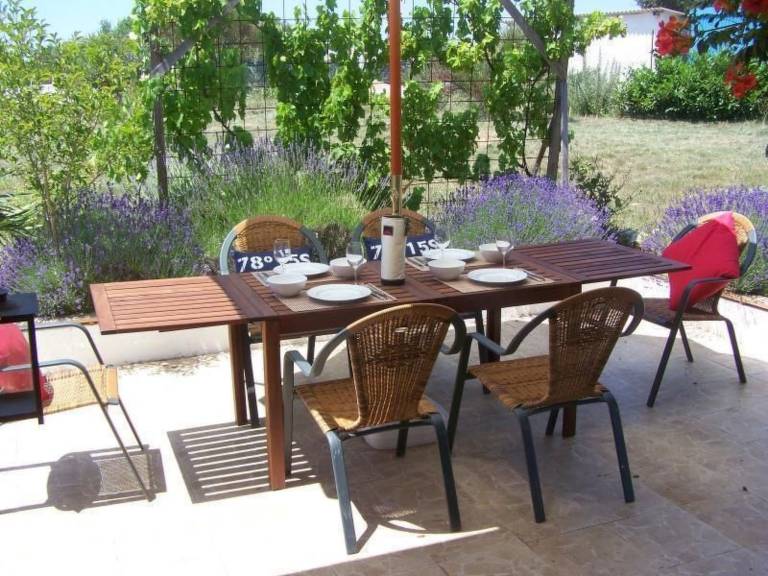 House with yard, barbecue & private pool | Pets are welcome — photo 3