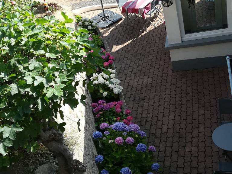 foto11