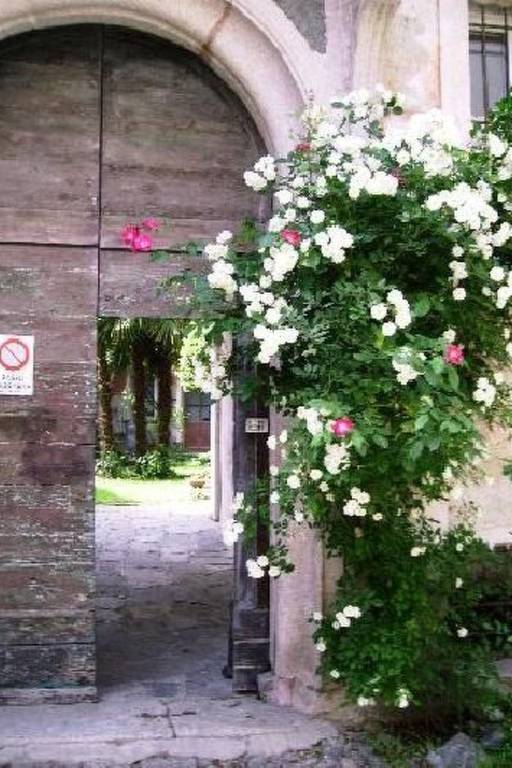 Wohnung Caprifoglio in Miasino