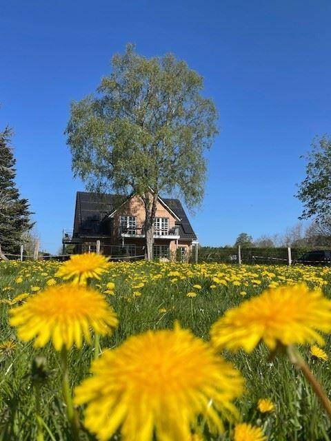 Ferienhaus  Sehestedt