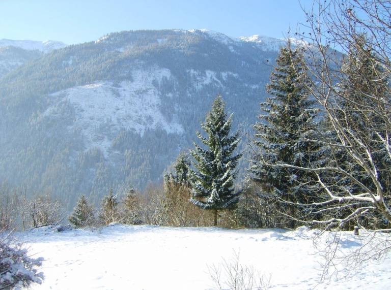 foto13