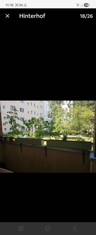 foto17