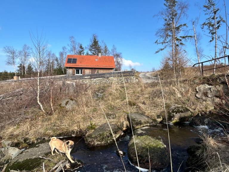 Nice vacation home with garden, terrace & barbecue | Dogs allowed — photo 3