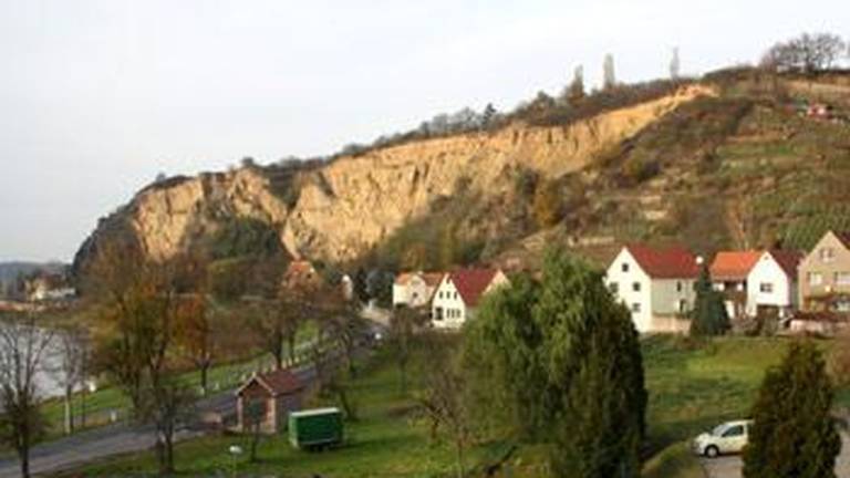 Ferienwohnung Riesa
