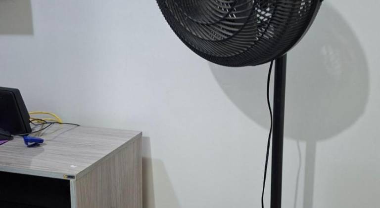 foto31