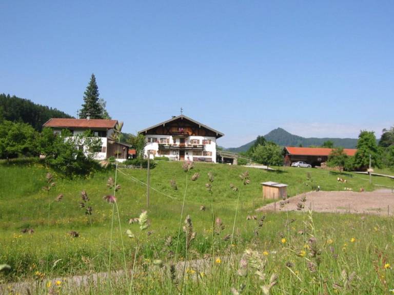 foto21