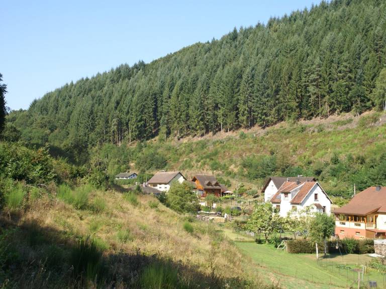 foto2