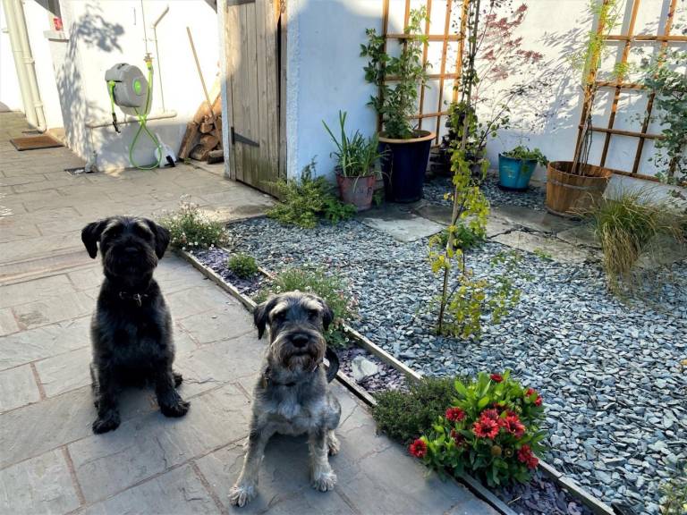 Fully equipped cottage with yard | Pets allowed — photo 2