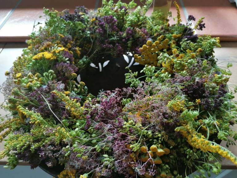 foto24
