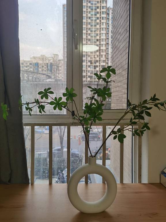 foto11