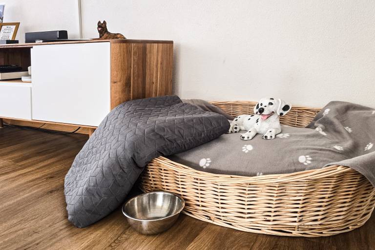 Ferienwohnung mit Hund in Grächen, Stalden für max. 7 Personen Ferienwohnung mit Hund in Grächen, Stalden für max. 7 Personen