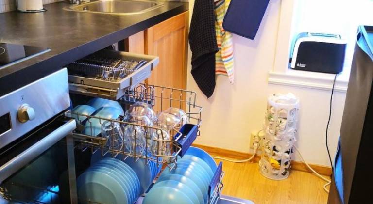 Beautiful rental apartment | Dogs allowed — photo 4