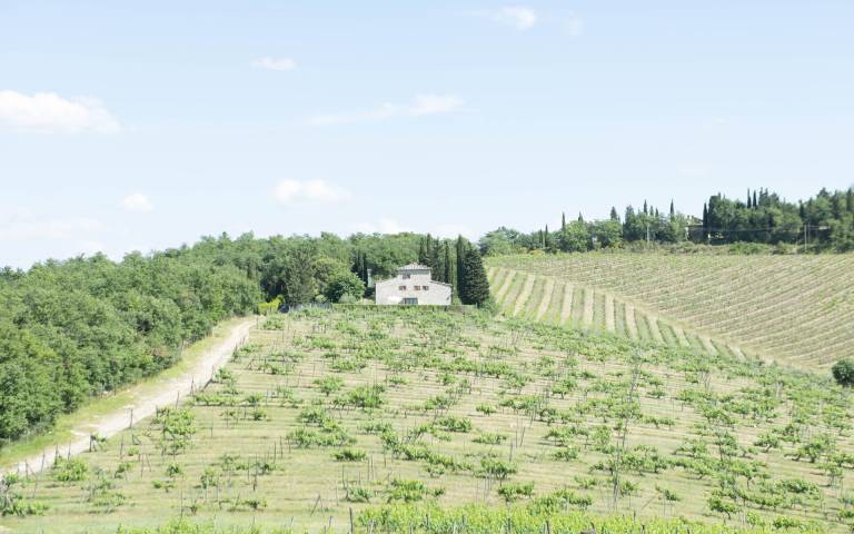 foto11
