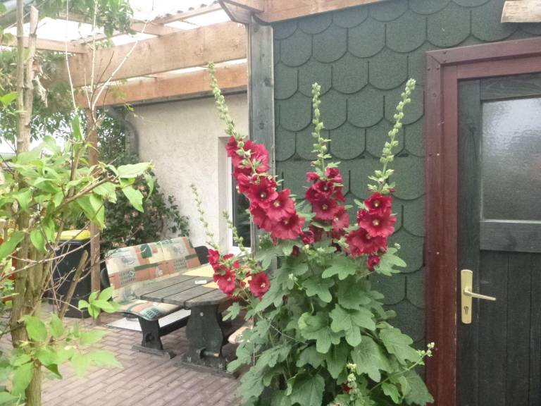 foto6