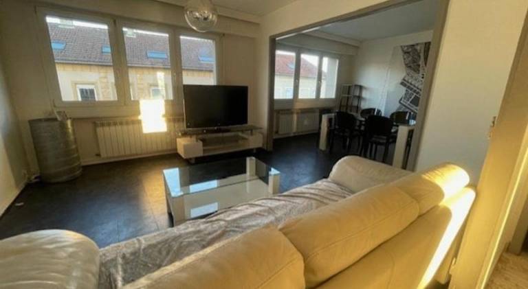 Pleasant holiday apartment | Pets allowed in Metz