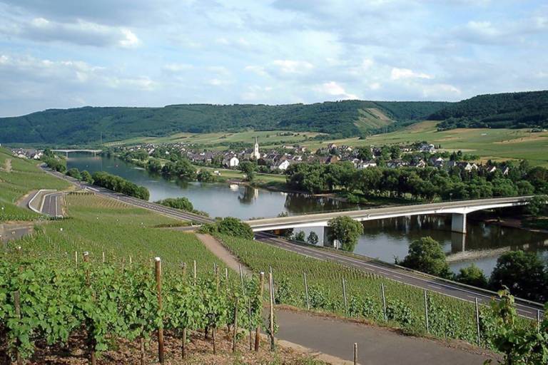 Appartement  Kinheim