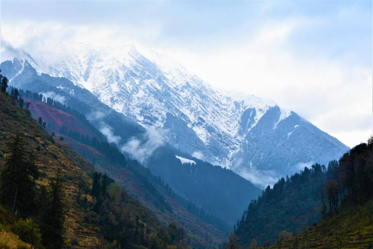 Black Sheep Café & Stay in Baijnath