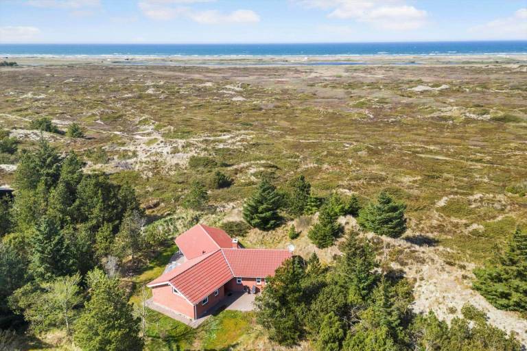 Ferienhaus Fjerritslev