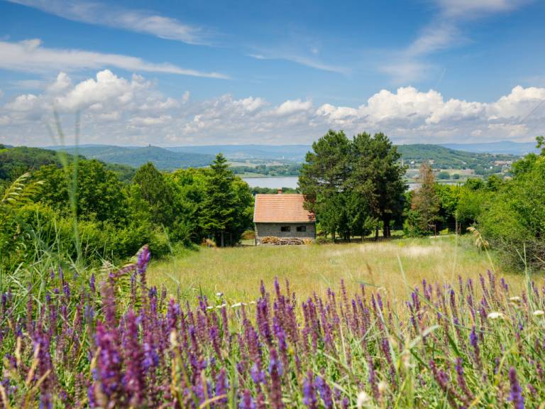 ház Balatonudvari