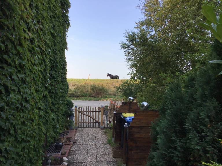 foto18
