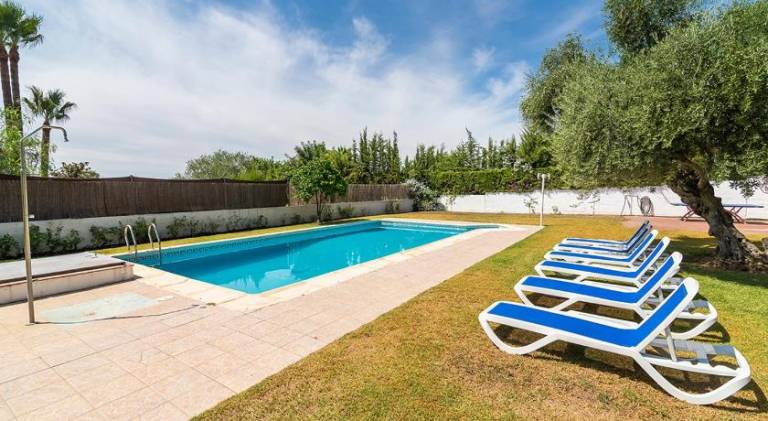House with pool — photo 5
