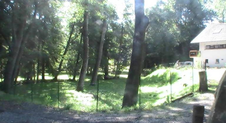foto7