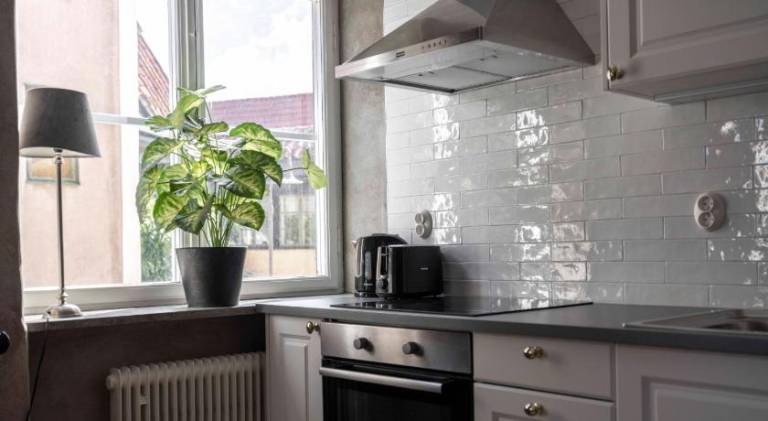 Charming holiday apartment | Dogs allowed — photo 5