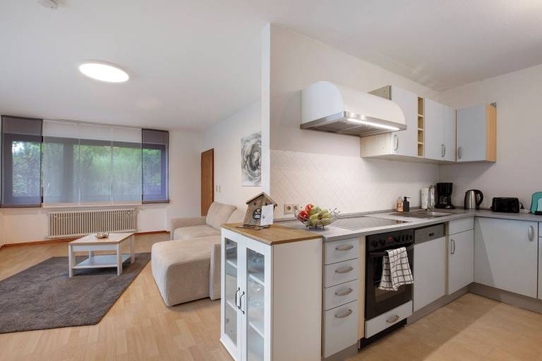 Apartment  Marienthal