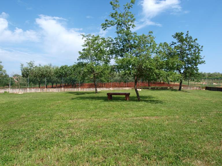 Wonderful house with BBQ, yard & patio | Dogs allowed — photo 4