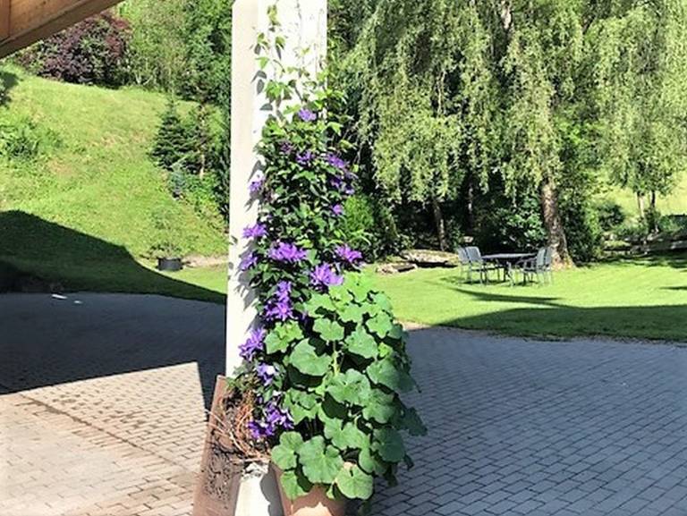 foto15