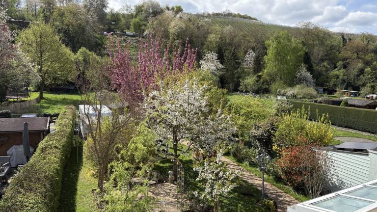 foto4