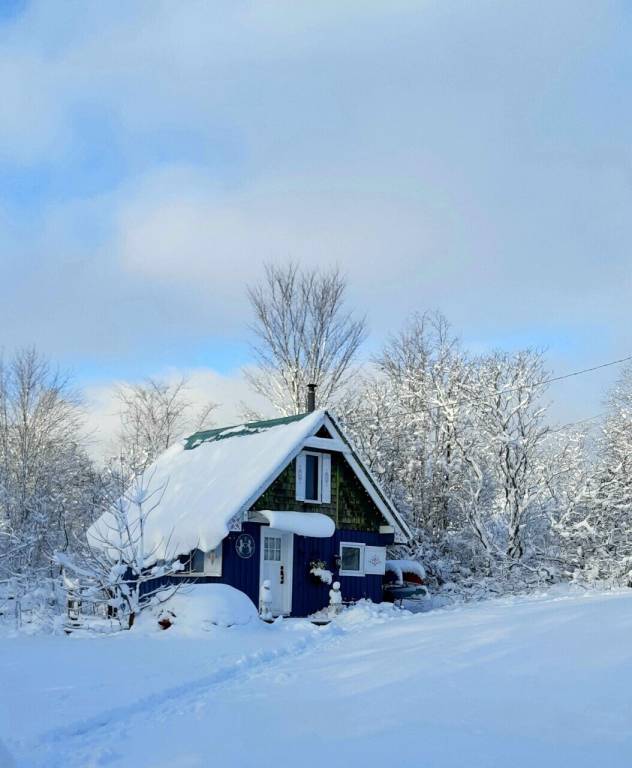 Cabin Westport