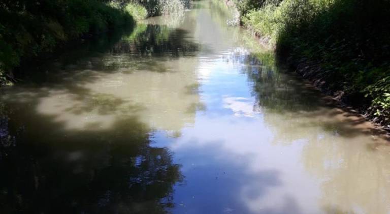 foto41