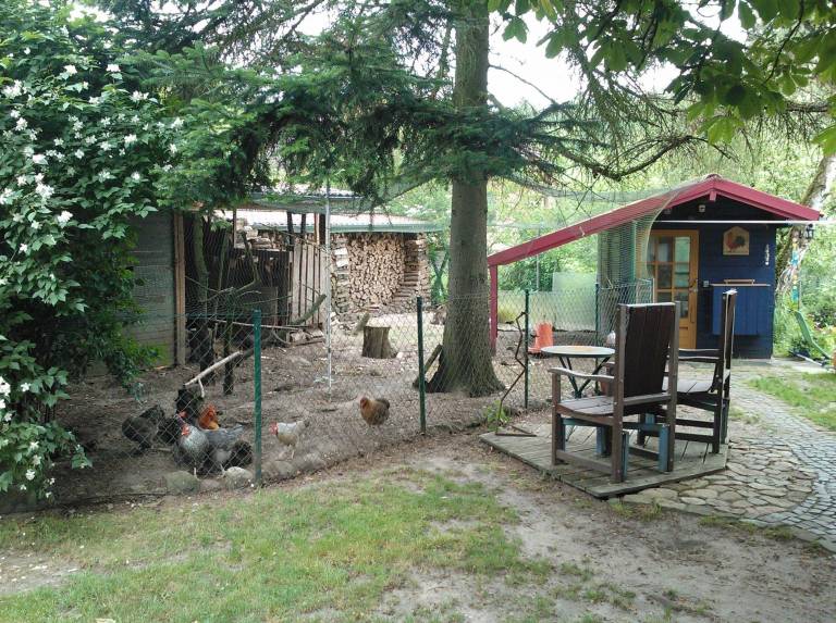 foto17