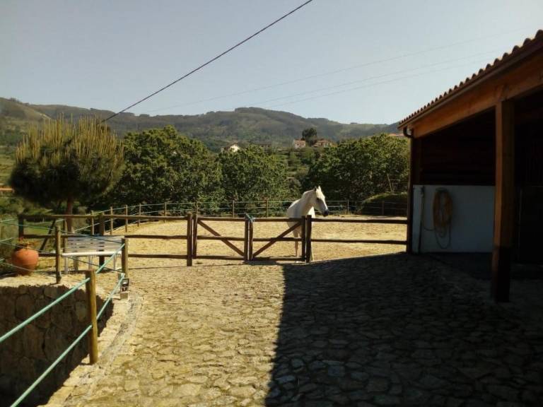 foto47