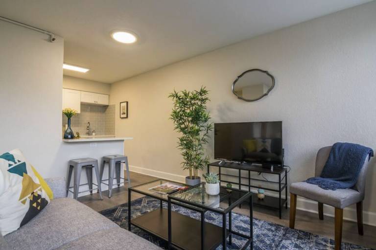 42 m² Studio