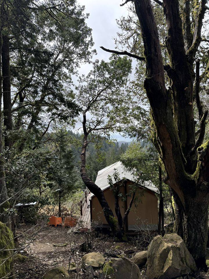 Camping Redwood City