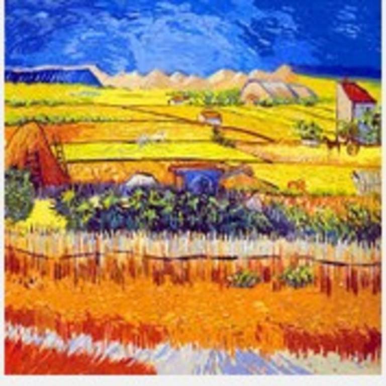 foto11