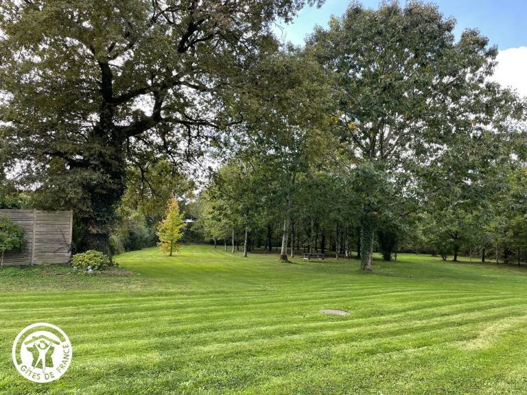 foto22