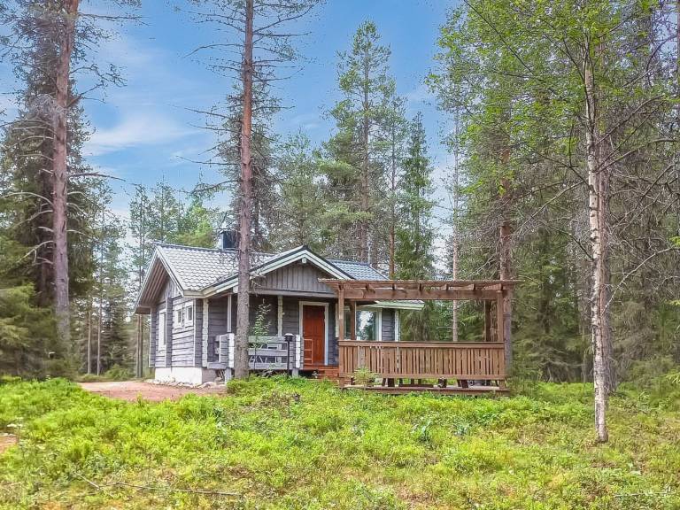 House with sauna — photo 3