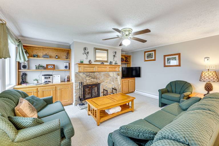 Apartment Snowshoe
