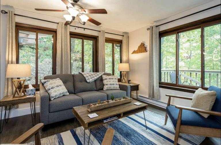 Cabin Massanutten