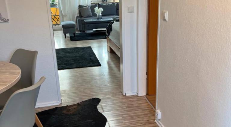 Apartments Neckarsulm — photo 2