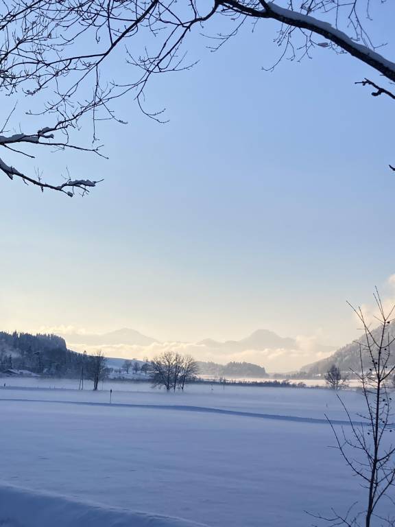 foto10