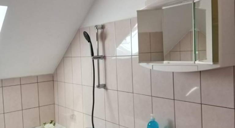 Apartment with 1 room for 3 persons — photo 4