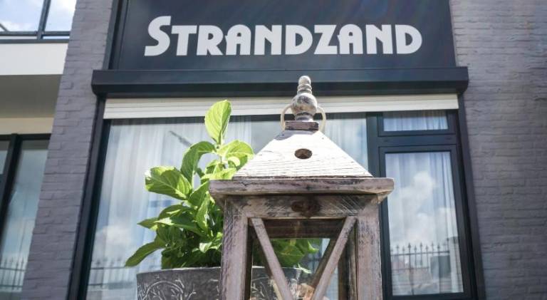 Apartment with yard & terrace | Beach nearby | Pets are welcome in Noordwijk