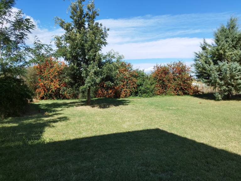 foto15
